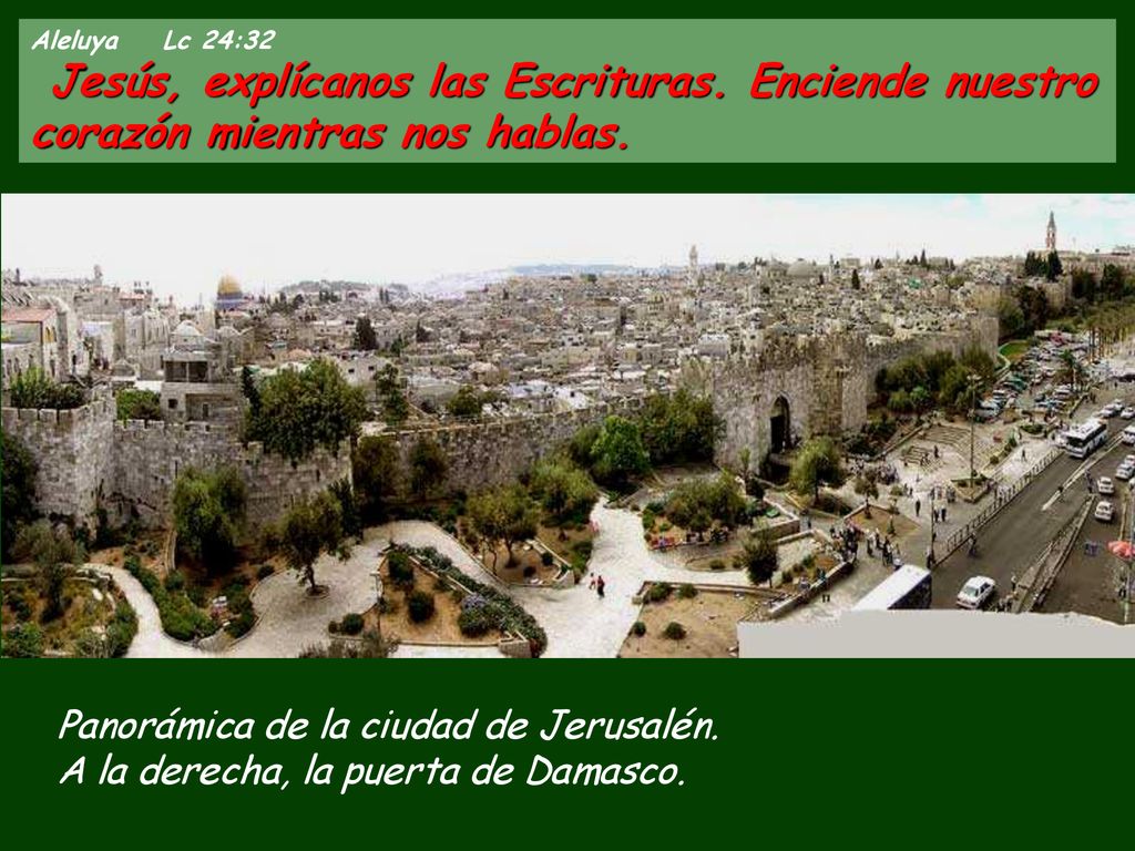 Aleluya Lc 24:32 Jesús, explícanos las Escrituras. Enciende nuestro corazón mientras nos hablas.
