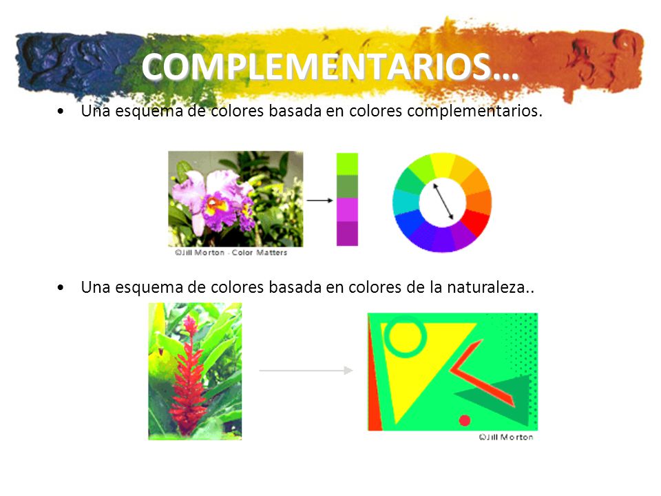 COMPLEMENTARIOS… Una esquema de colores basada en colores complementarios.