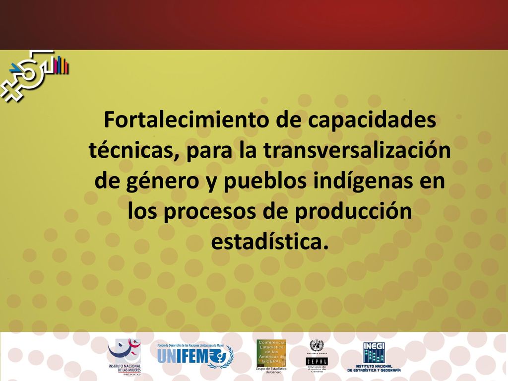 Fortalecimiento de capacidades técnicas, para la transversalización de género y pueblos indígenas en los procesos de producción estadística.
