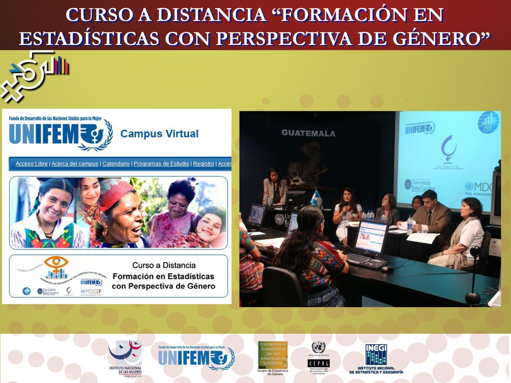 CURSO A DISTANCIA FORMACIÓN EN ESTADÍSTICAS CON PERSPECTIVA DE GÉNERO