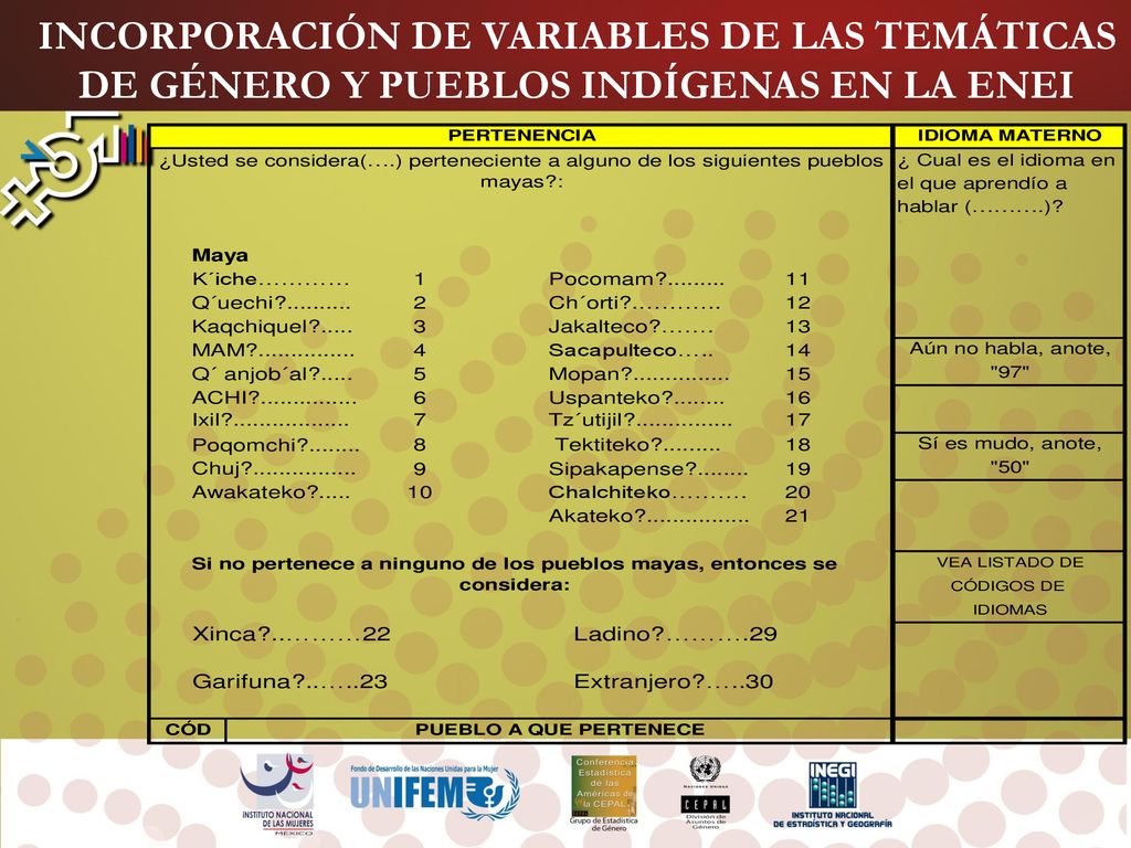 INCORPORACIÓN DE VARIABLES DE LAS TEMÁTICAS DE GÉNERO Y PUEBLOS INDÍGENAS EN LA ENEI