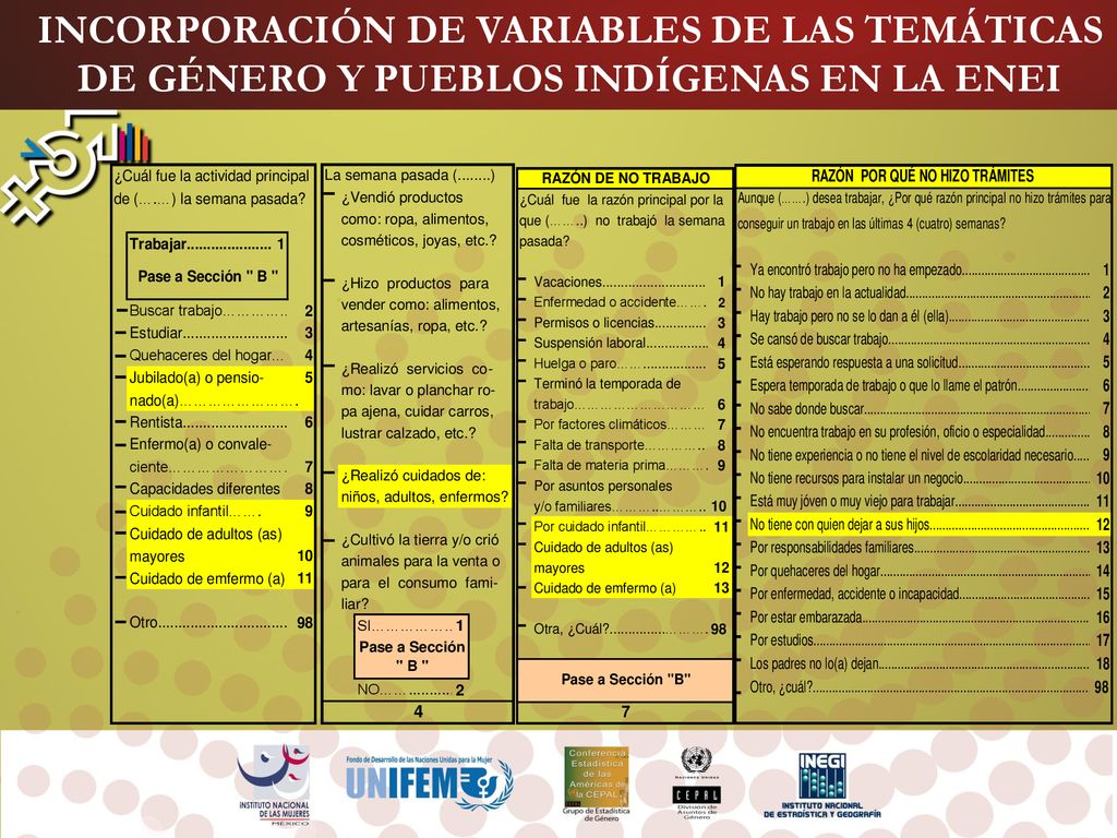 INCORPORACIÓN DE VARIABLES DE LAS TEMÁTICAS DE GÉNERO Y PUEBLOS INDÍGENAS EN LA ENEI