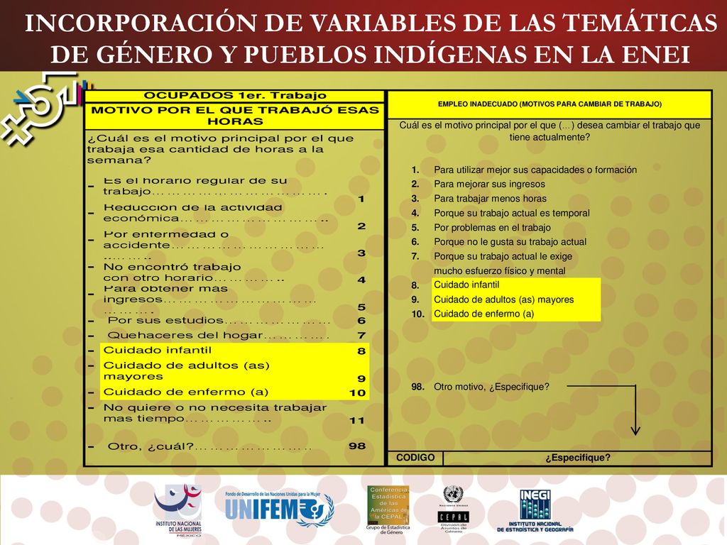 INCORPORACIÓN DE VARIABLES DE LAS TEMÁTICAS DE GÉNERO Y PUEBLOS INDÍGENAS EN LA ENEI