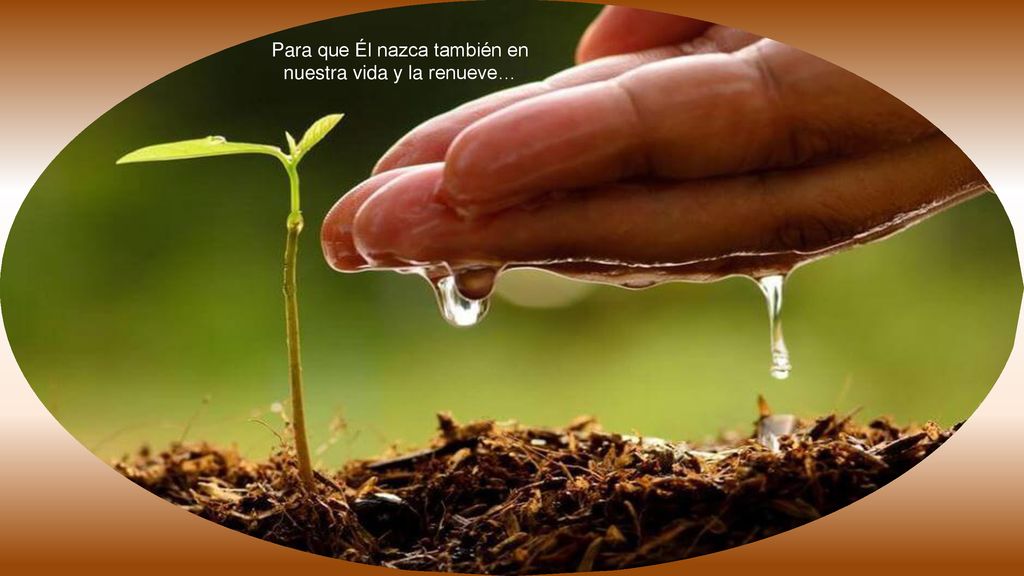 Para que Él nazca también en nuestra vida y la renueve…