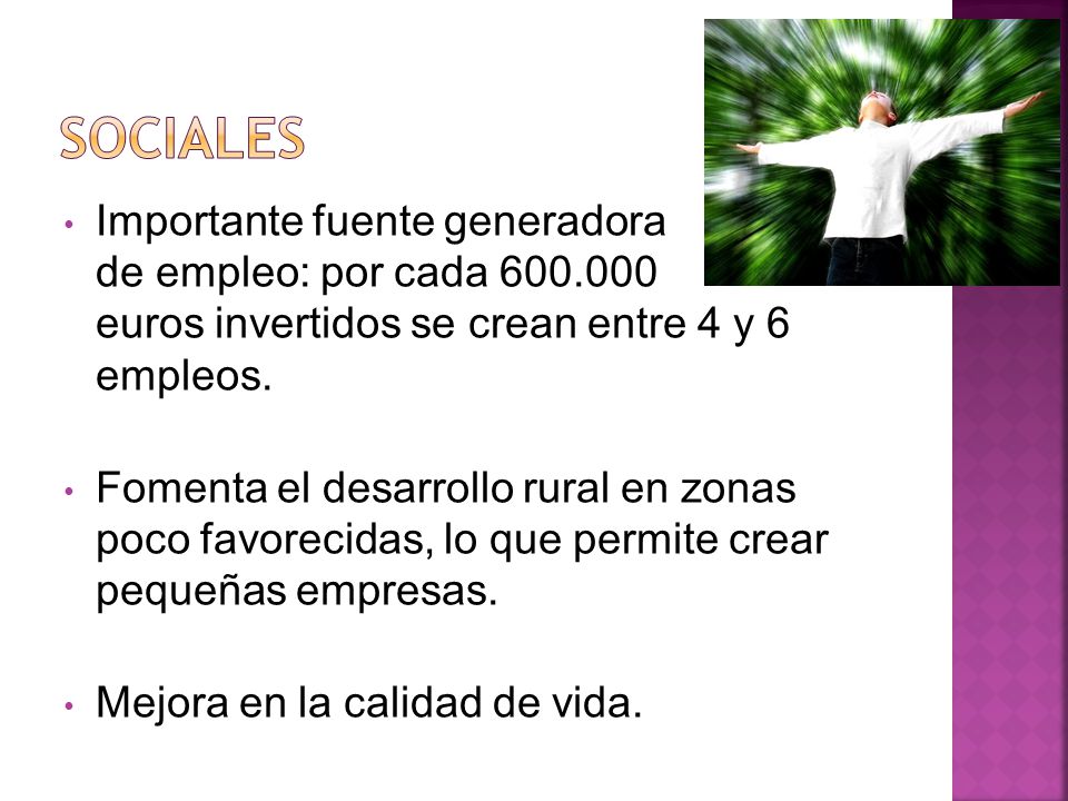 SOCIALES Importante fuente generadora de empleo: por cada euros invertidos se crean entre 4 y 6 empleos.