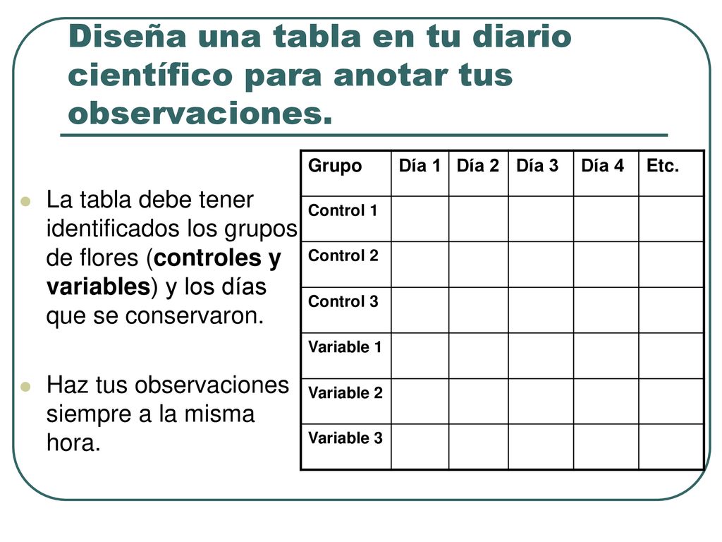 Diseña una tabla en tu diario científico para anotar tus observaciones.