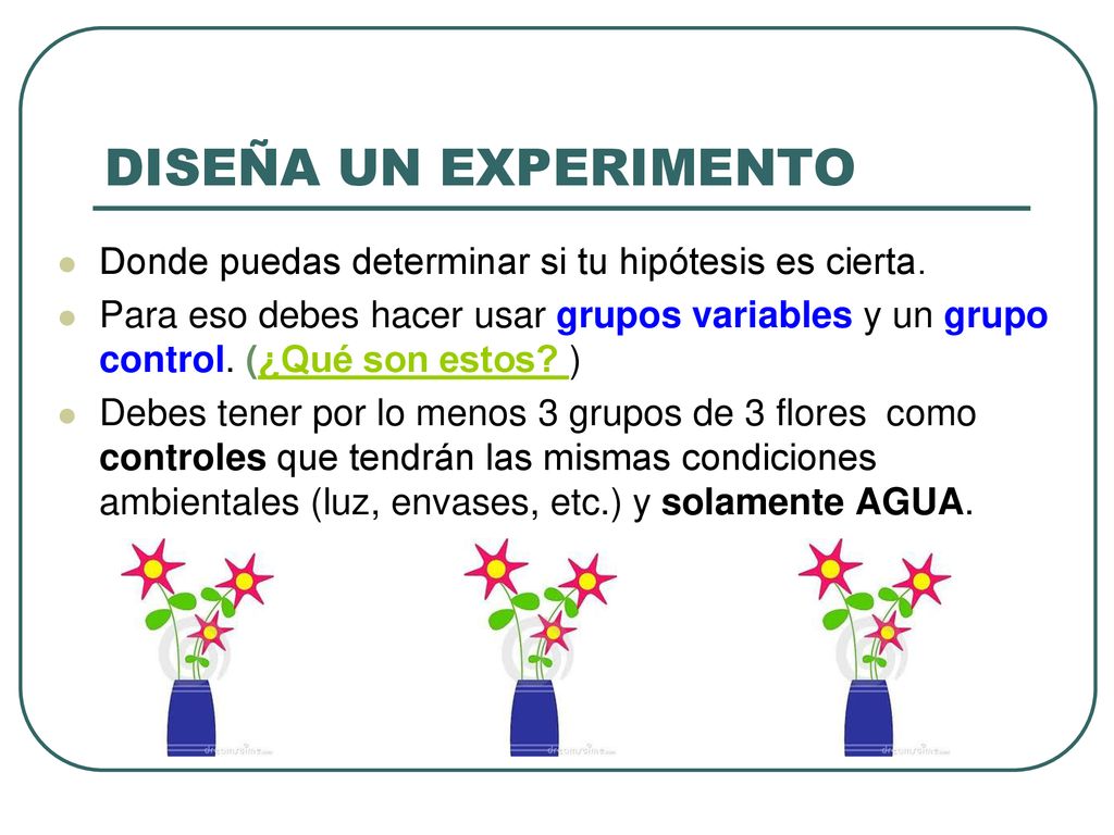 DISEÑA UN EXPERIMENTO Donde puedas determinar si tu hipótesis es cierta.