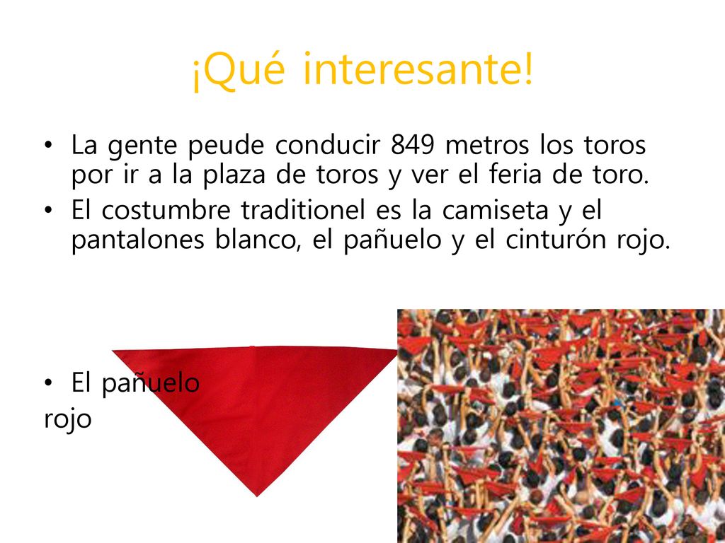 ¡Qué interesante! La gente peude conducir 849 metros los toros por ir a la plaza de toros y ver el feria de toro.