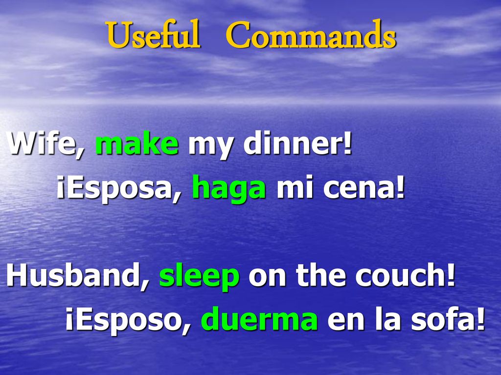Useful Commands Wife, make my dinner! ¡Esposa, haga mi cena!