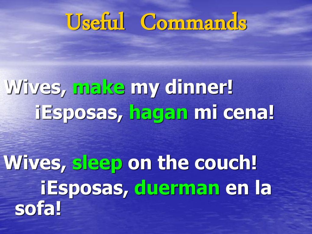 Useful Commands Wives, make my dinner! ¡Esposas, hagan mi cena!