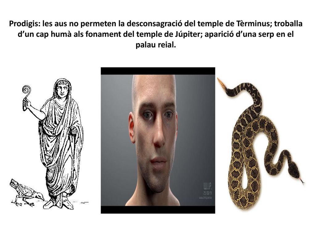 Prodigis: les aus no permeten la desconsagració del temple de Tèrminus; troballa d’un cap humà als fonament del temple de Júpiter; aparició d’una serp en el palau reial.