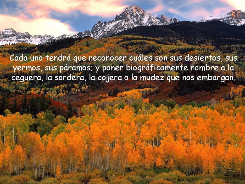 Cada uno tendrá que reconocer cuáles son sus desiertos, sus yermos, sus páramos; y poner biográficamente nombre a la ceguera, la sordera, la cojera o la mudez que nos embargan.