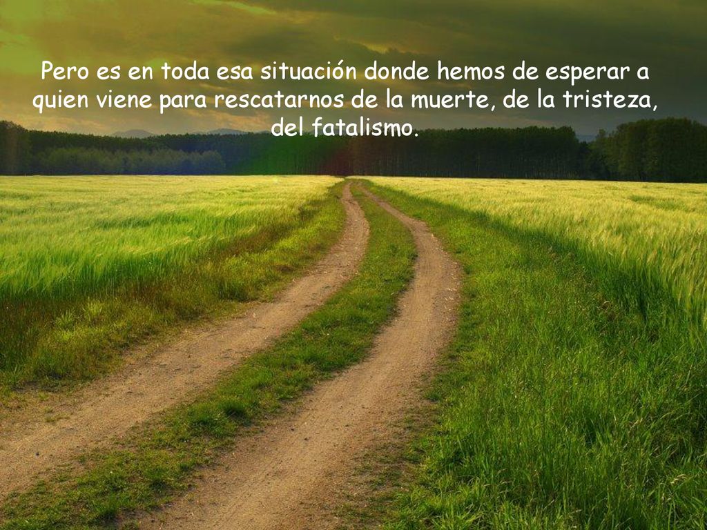 Pero es en toda esa situación donde hemos de esperar a quien viene para rescatarnos de la muerte, de la tristeza, del fatalismo.