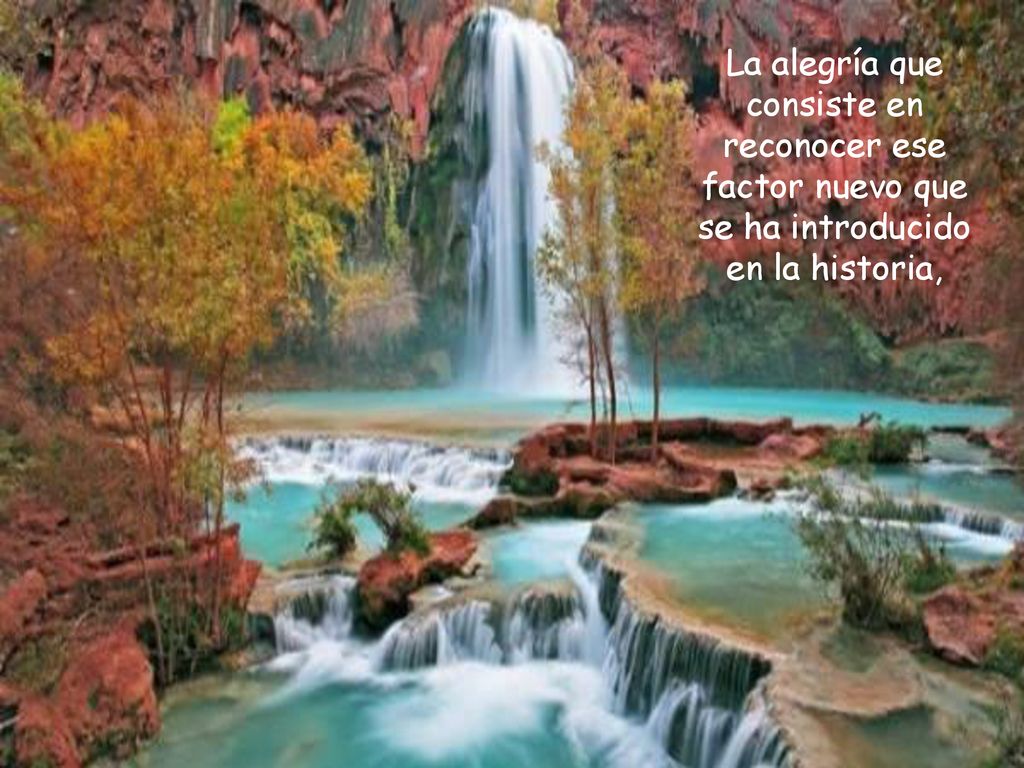 La alegría que consiste en reconocer ese factor nuevo que se ha introducido en la historia,