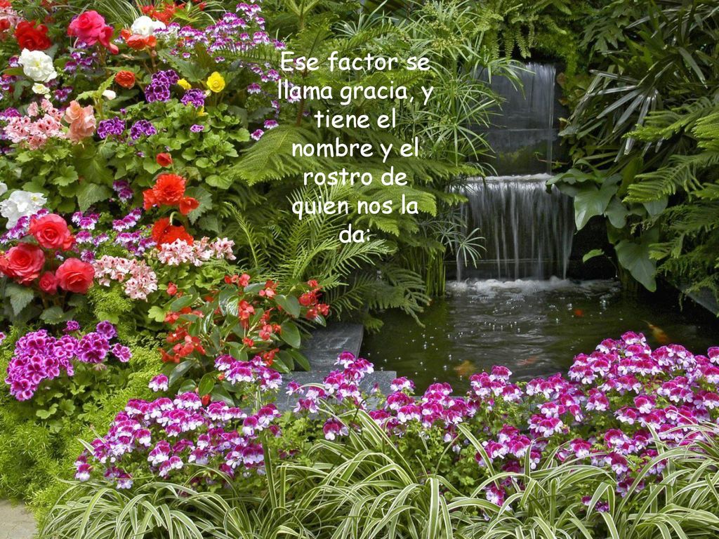 Ese factor se llama gracia, y tiene el nombre y el rostro de quien nos la da: