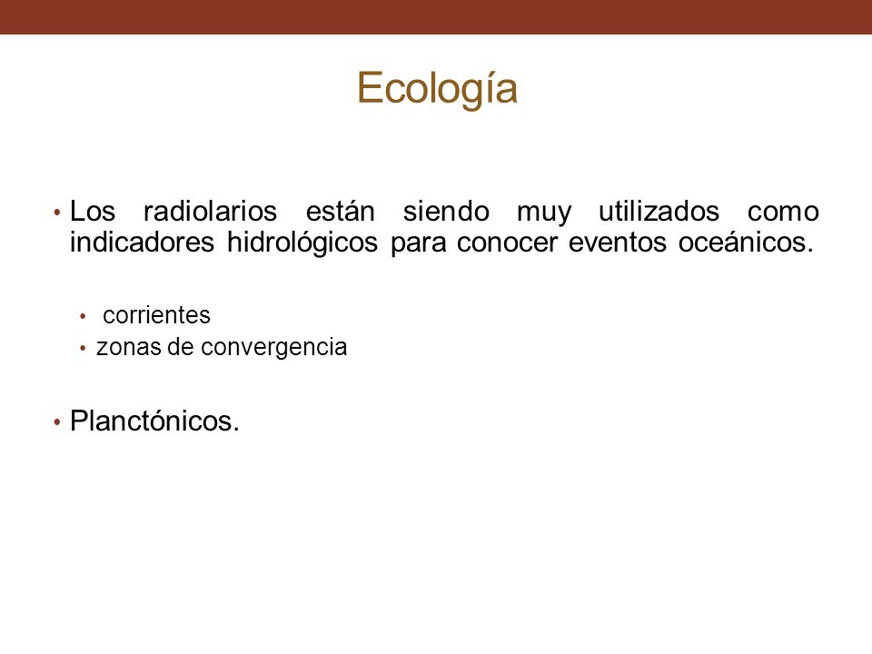 Ecología Los radiolarios están siendo muy utilizados como indicadores hidrológicos para conocer eventos oceánicos.