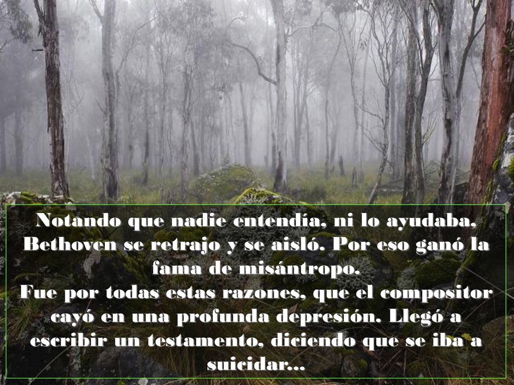 Notando que nadie entendía, ni lo ayudaba, Bethoven se retrajo y se aisló.