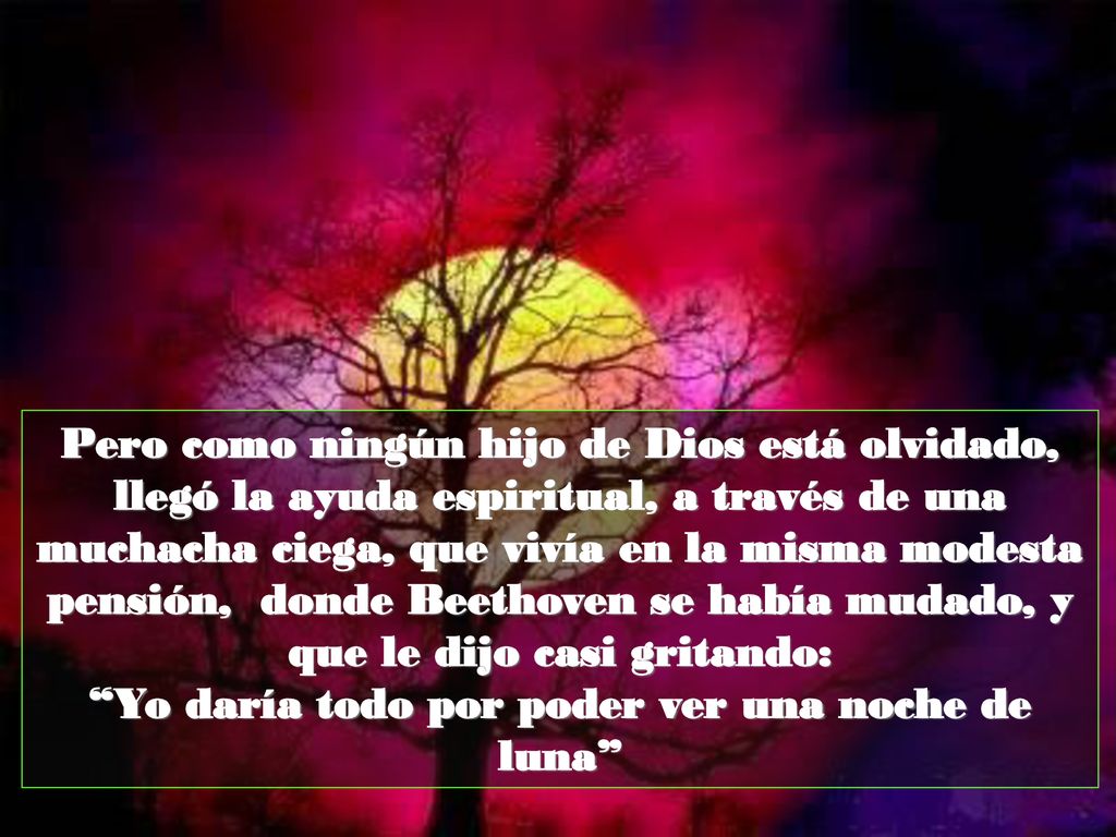 Yo daría todo por poder ver una noche de luna