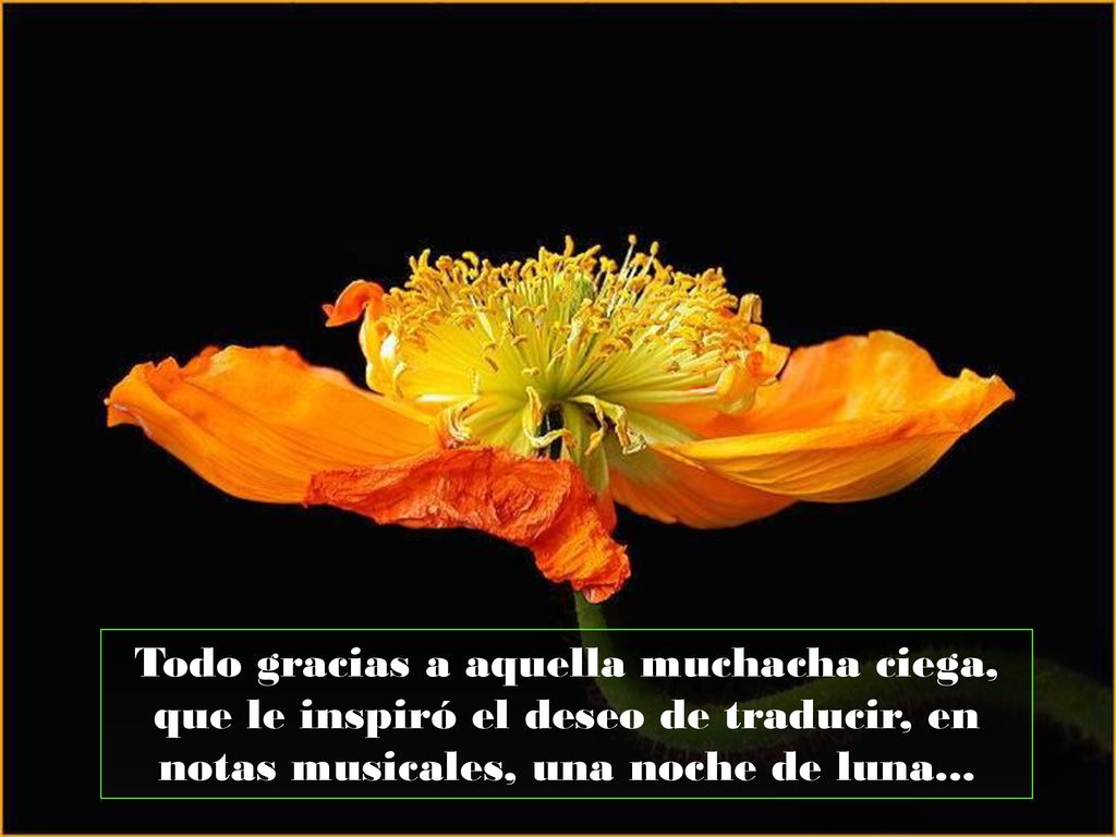 Todo gracias a aquella muchacha ciega, que le inspiró el deseo de traducir, en notas musicales, una noche de luna...
