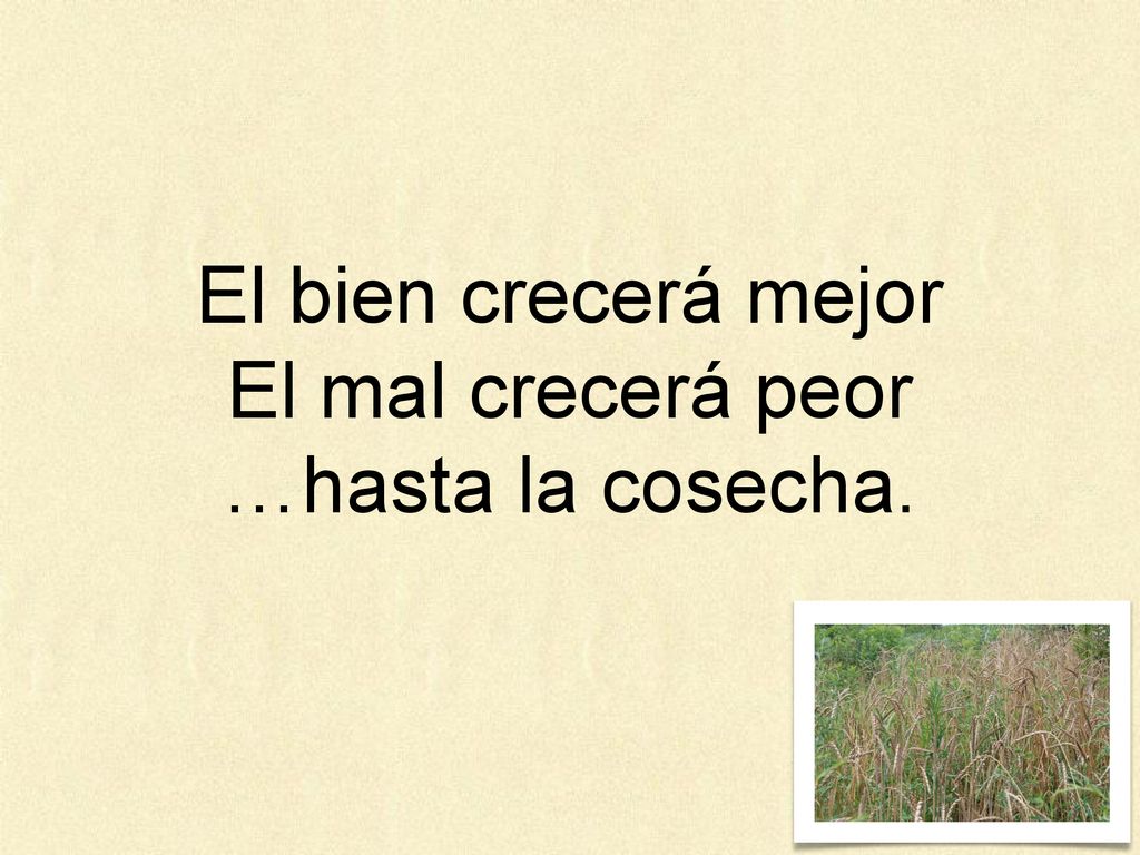 El bien crecerá mejor El mal crecerá peor …hasta la cosecha.