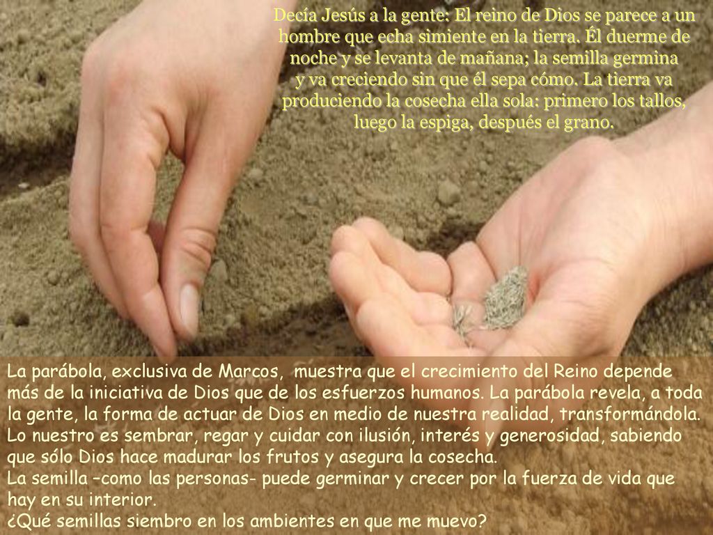 Decía Jesús a la gente: El reino de Dios se parece a un hombre que echa simiente en la tierra. Él duerme de noche y se levanta de mañana; la semilla germina y va creciendo sin que él sepa cómo. La tierra va produciendo la cosecha ella sola: primero los tallos, luego la espiga, después el grano.