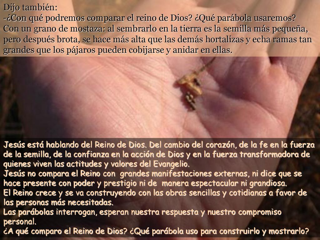Dijo también: -¿Con qué podremos comparar el reino de Dios