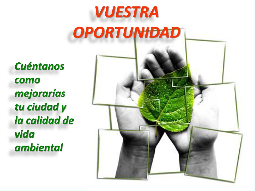 VUESTRA OPORTUNIDAD Cuéntanos como mejorarías tu ciudad y la calidad de vida ambiental
