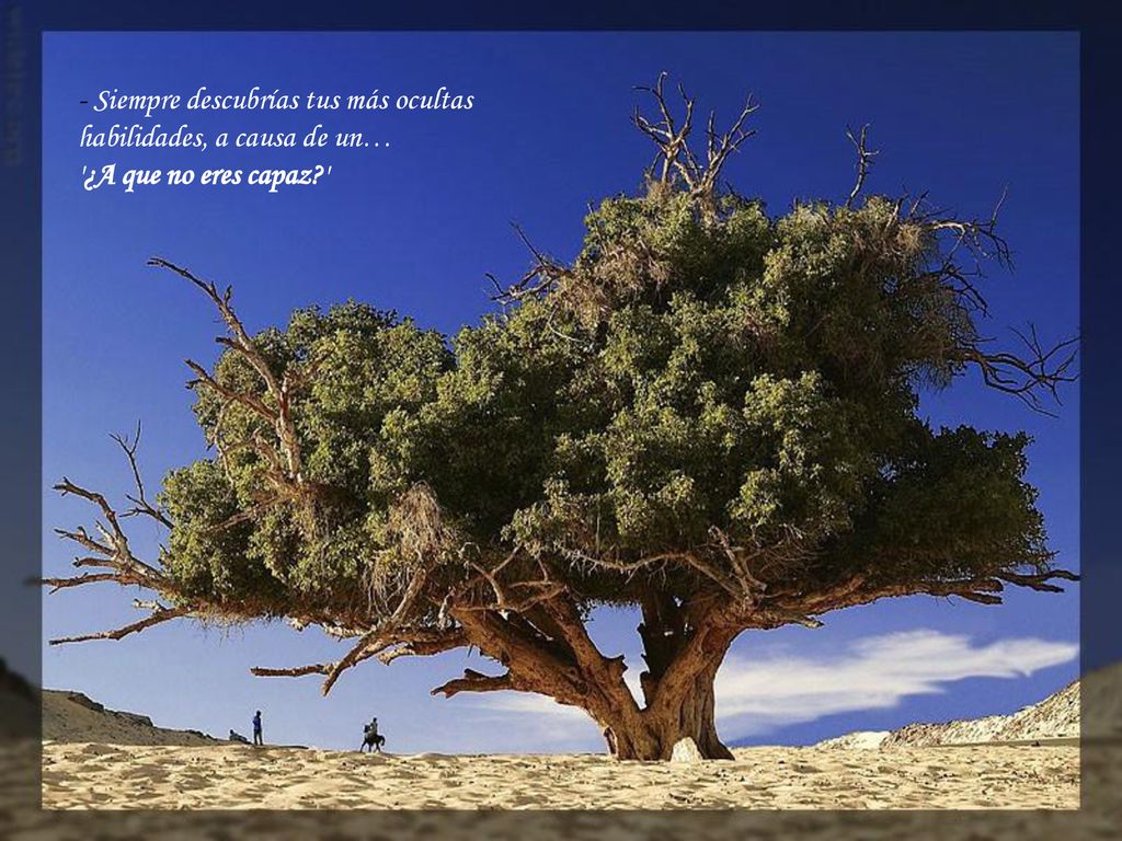 - Siempre descubrías tus más ocultas habilidades, a causa de un… ¿A que no eres capaz