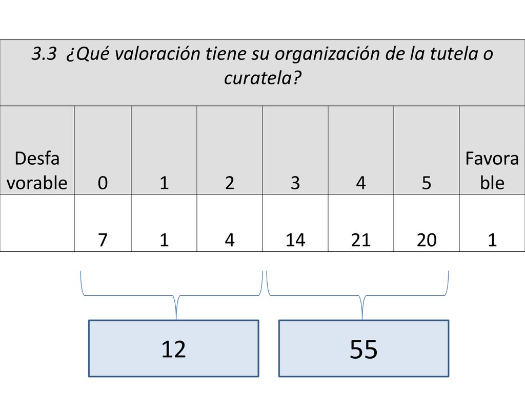 3.3 ¿Qué valoración tiene su organización de la tutela o curatela