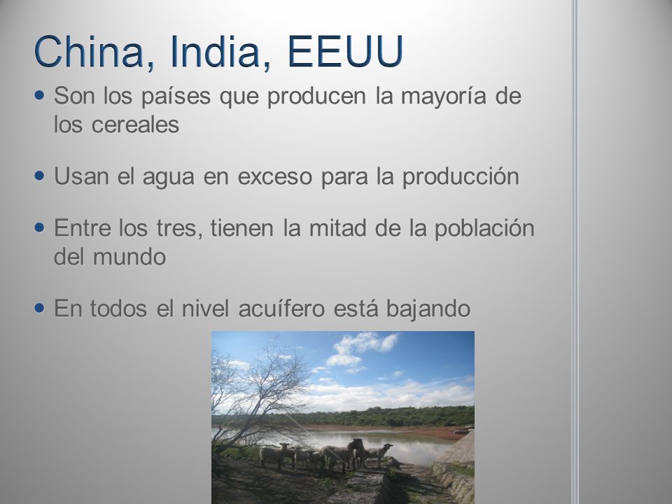 China, India, EEUU Son los países que producen la mayoría de los cereales. Usan el agua en exceso para la producción.