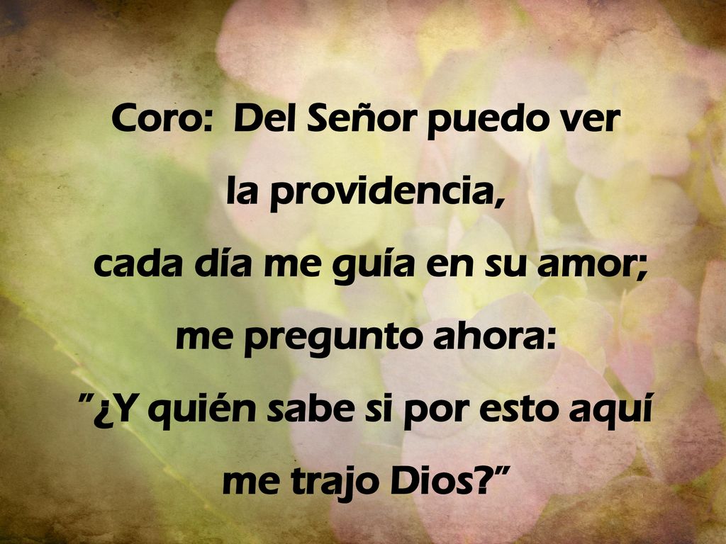 Coro: Del Señor puedo ver la providencia, cada día me guía en su amor;