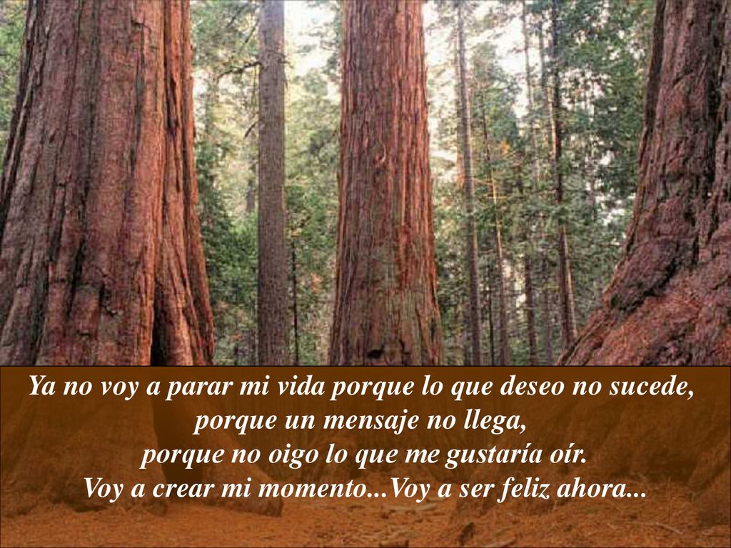 Ya no voy a parar mi vida porque lo que deseo no sucede,