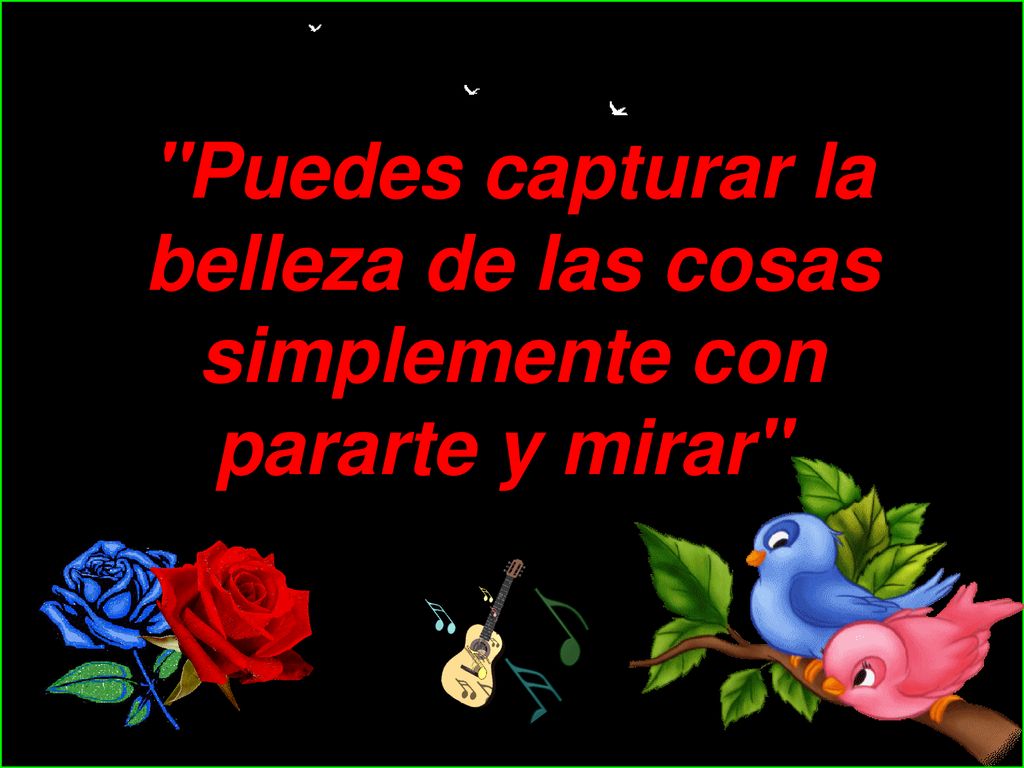 Puedes capturar la belleza de las cosas simplemente con pararte y mirar