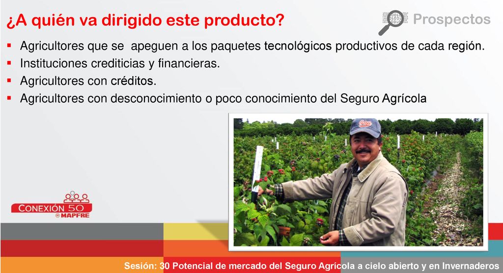 ¿A quién va dirigido este producto
