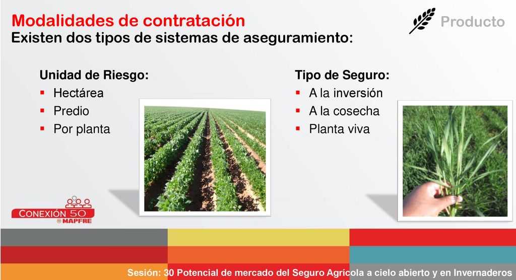 Existen dos tipos de sistemas de aseguramiento: