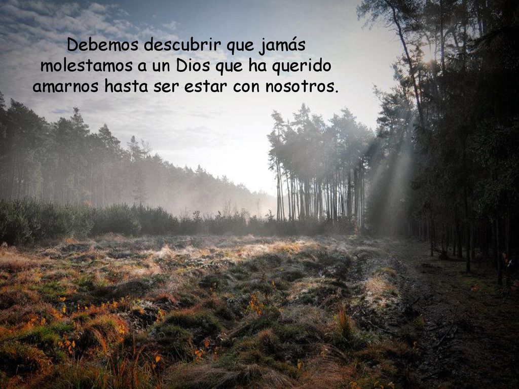 Debemos descubrir que jamás molestamos a un Dios que ha querido amarnos hasta ser estar con nosotros.
