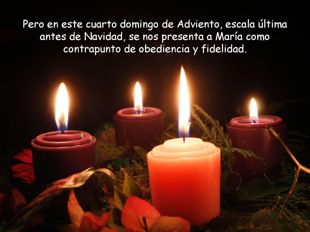 Pero en este cuarto domingo de Adviento, escala última antes de Navidad, se nos presenta a María como contrapunto de obediencia y fidelidad.