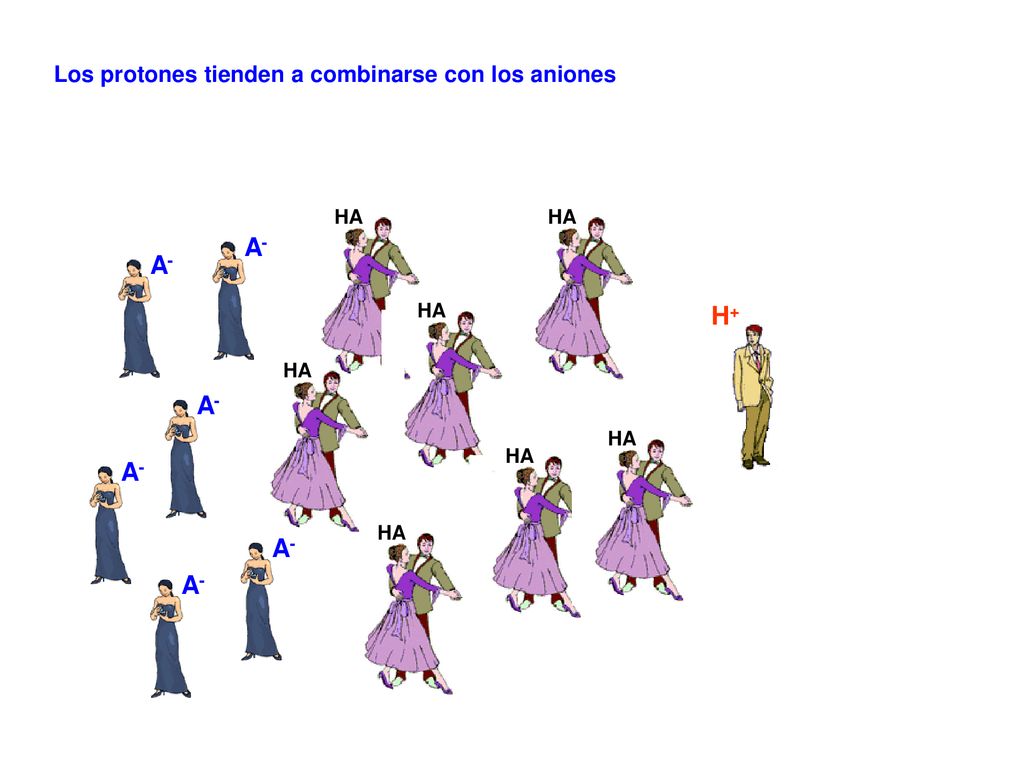 A- A- H+ A- A- A- A- Los protones tienden a combinarse con los aniones