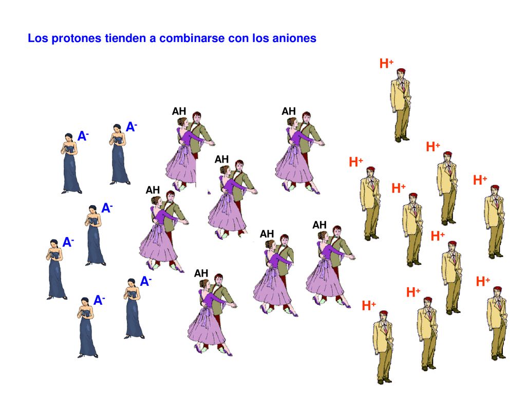 H+ A- A- H+ H+ H+ H+ A- H+ A- A- H+ H+ A- H+