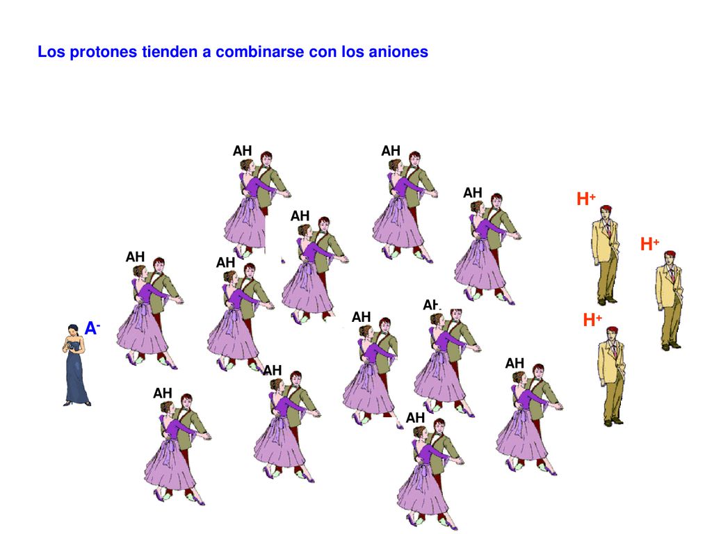 H+ H+ H+ A- Los protones tienden a combinarse con los aniones AH AH AH