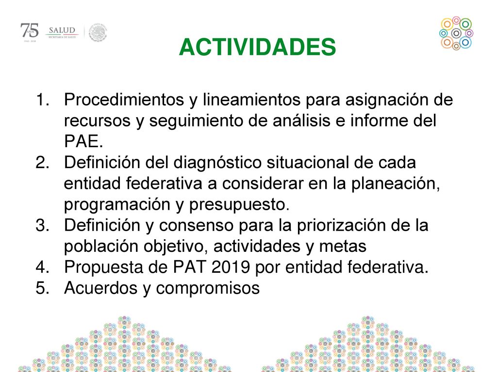 ACTIVIDADES Procedimientos y lineamientos para asignación de recursos y seguimiento de análisis e informe del PAE.