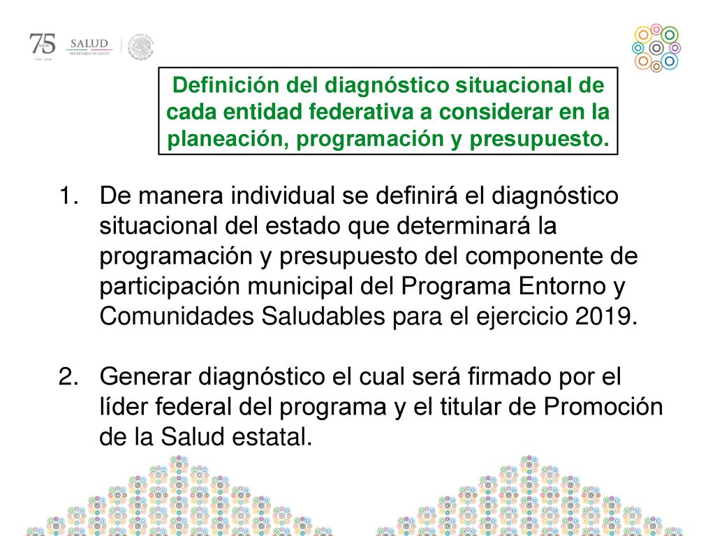 Definición del diagnóstico situacional de cada entidad federativa a considerar en la planeación, programación y presupuesto.