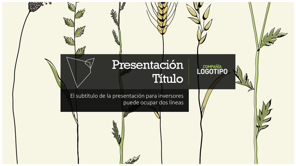 Presentación Título El subtítulo de la presentación para inversores puede ocupar dos líneas