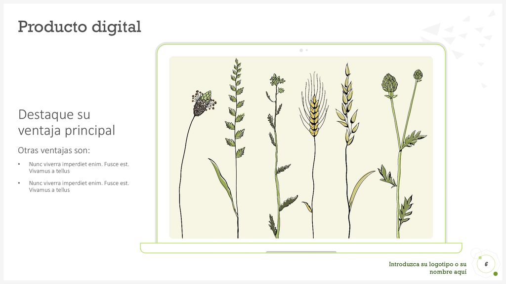 Producto digital Destaque su ventaja principal Otras ventajas son: