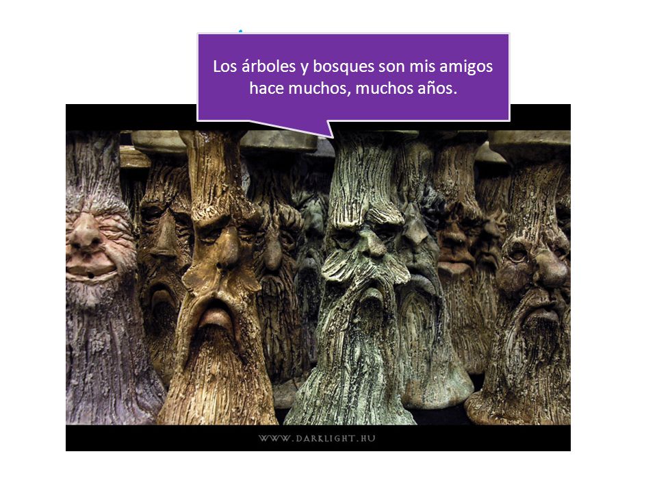 Los árboles y bosques son mis amigos hace muchos, muchos años.