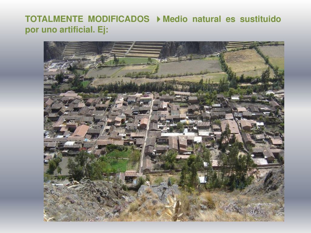 TOTALMENTE MODIFICADOS Medio natural es sustituido por uno artificial