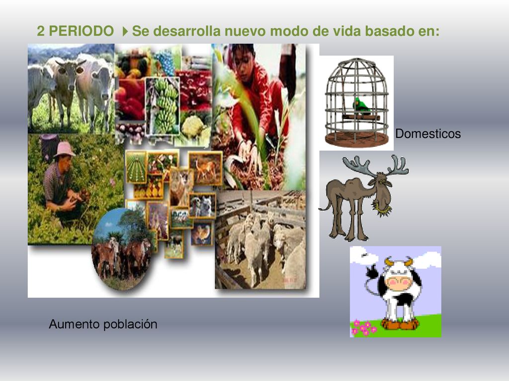 2 PERIODO Se desarrolla nuevo modo de vida basado en: