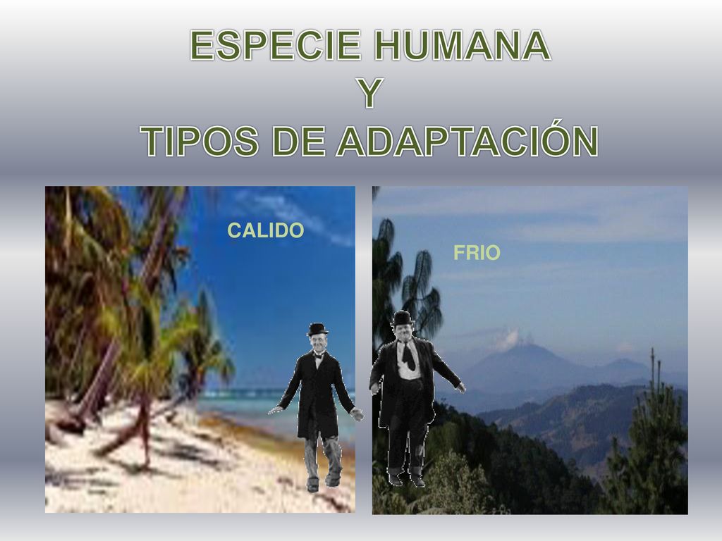 ESPECIE HUMANA Y TIPOS DE ADAPTACIÓN
