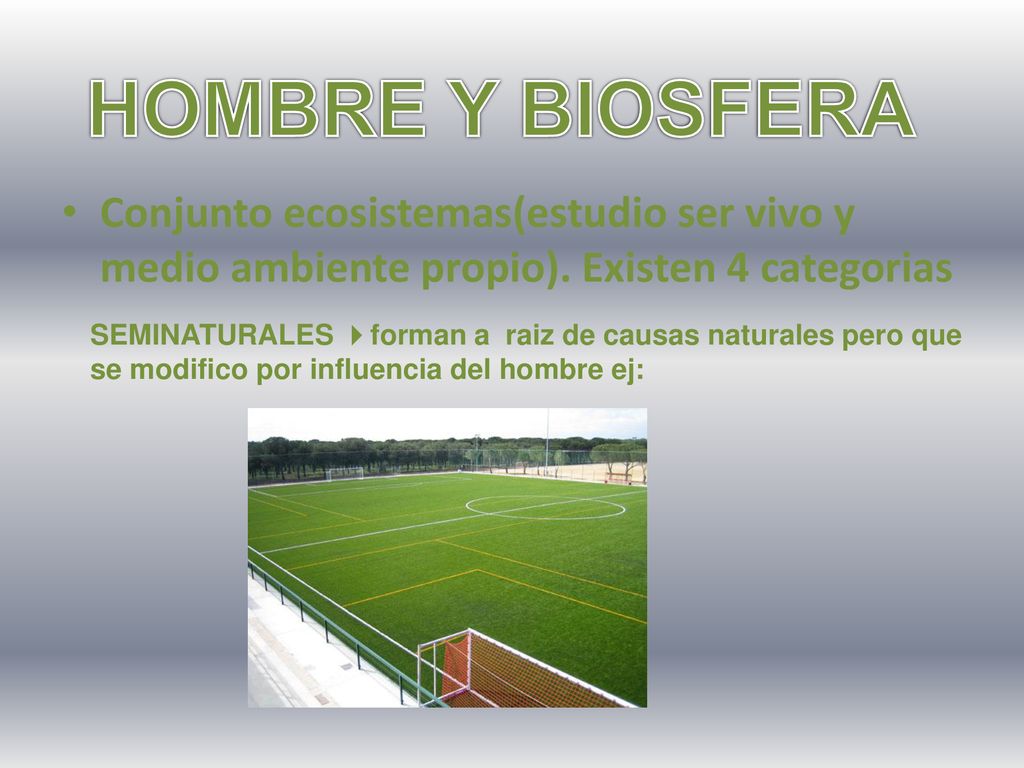 HOMBRE Y BIOSFERA Conjunto ecosistemas(estudio ser vivo y medio ambiente propio). Existen 4 categorias.