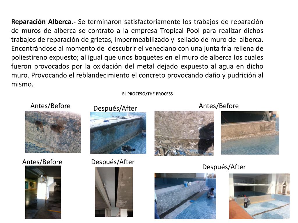 Reparación Alberca.- Se terminaron satisfactoriamente los trabajos de reparación de muros de alberca se contrato a la empresa Tropical Pool para realizar dichos trabajos de reparación de grietas, impermeabilizado y sellado de muro de alberca. Encontrándose al momento de descubrir el veneciano con una junta fría rellena de poliestireno expuesto; al igual que unos boquetes en el muro de alberca los cuales fueron provocados por la oxidación del metal dejado expuesto al agua en dicho muro. Provocando el reblandecimiento el concreto provocando daño y pudrición al mismo.